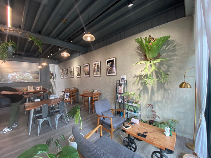 日染樹梢 Sunnytreetop Cafe