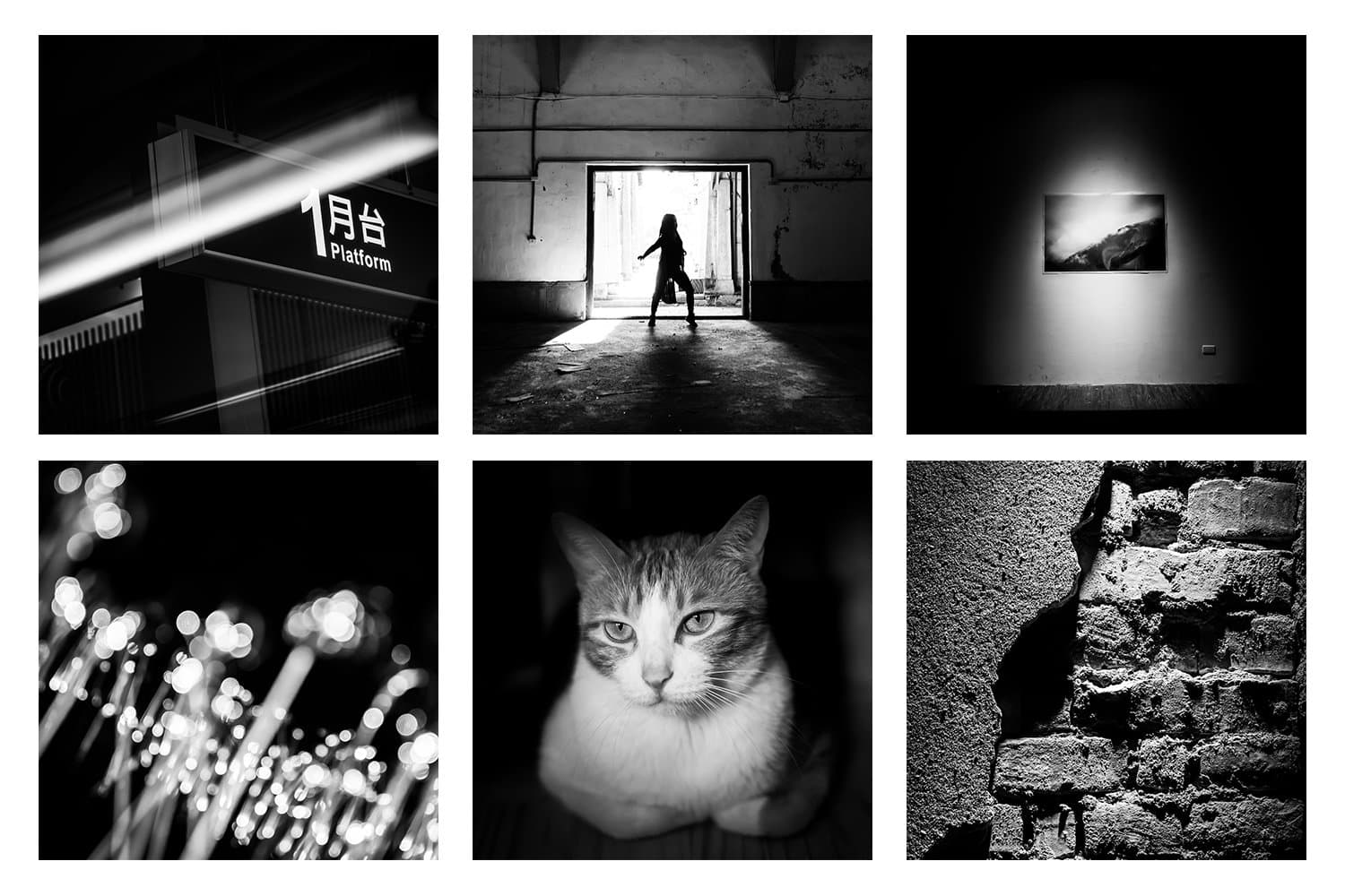 植月Photography Studio 4