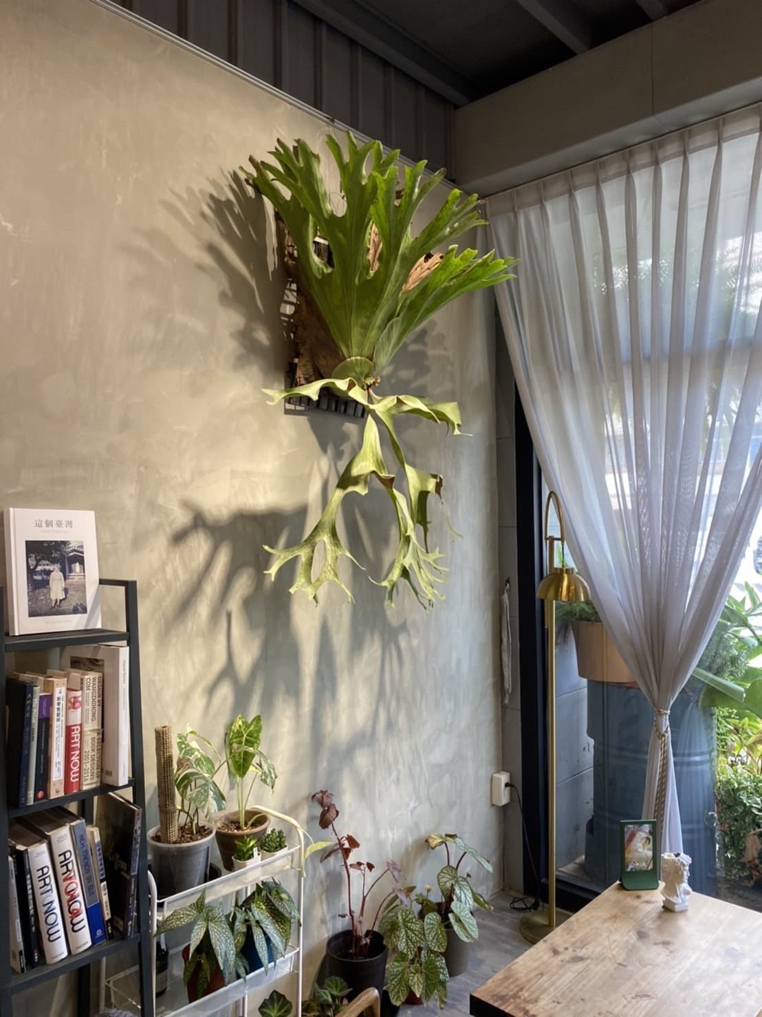 日染樹梢 Sunnytreetop Cafe 3