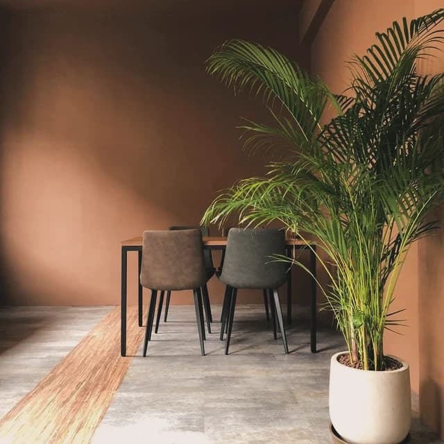 Petrichor 語續咖啡 4