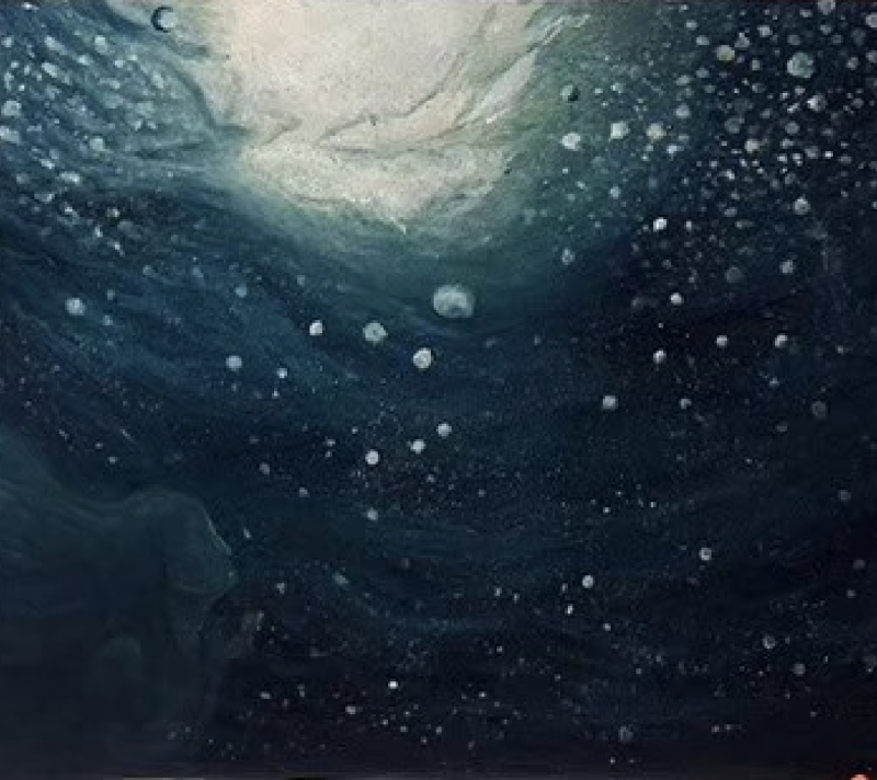 官思岑 Carol Kuan 的作品