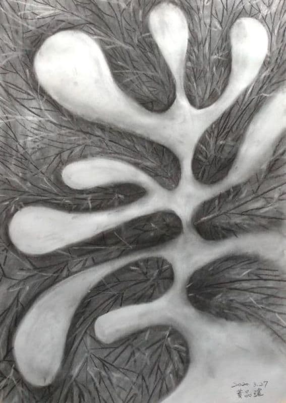 我的小宇宙系列2-弄假成真