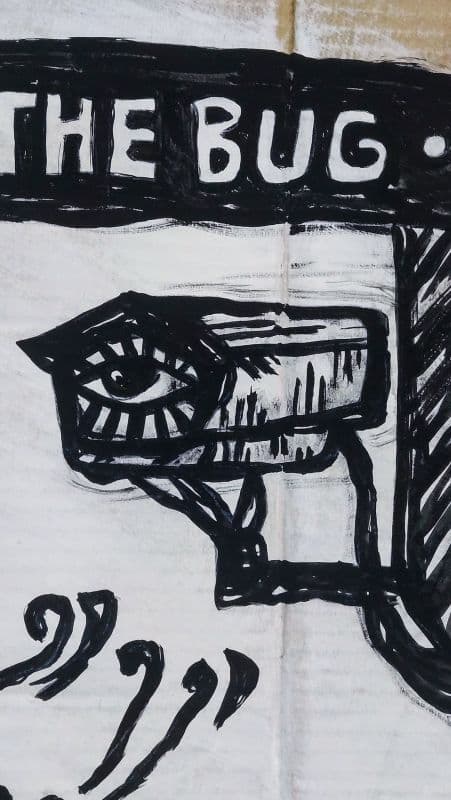 The Bug 3