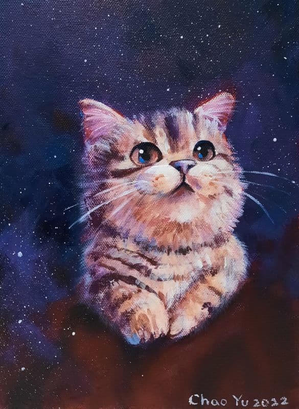 星空之中
