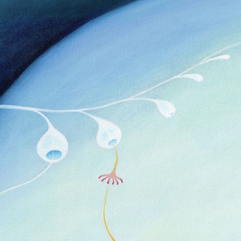 Difflora N°230727 6