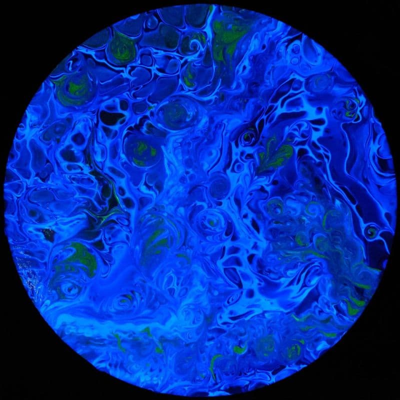 海洋中的料理秀 2