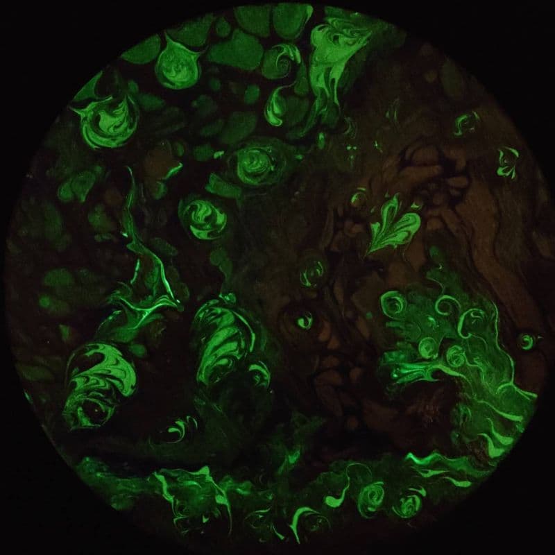 海洋中的料理秀 3