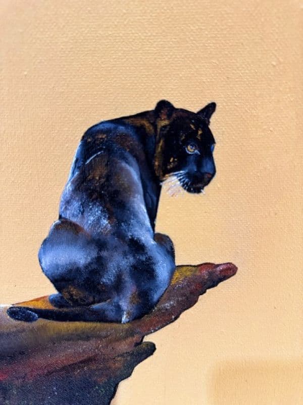 嗨!慢一點Black Panther - 如果少了運氣,那就多點勇氣吧! 2