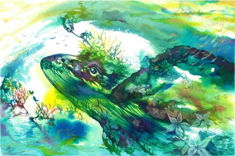 奇幻意識之流-鯨魚