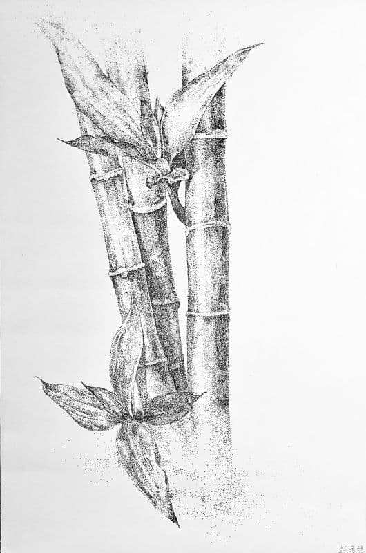 竹_點描