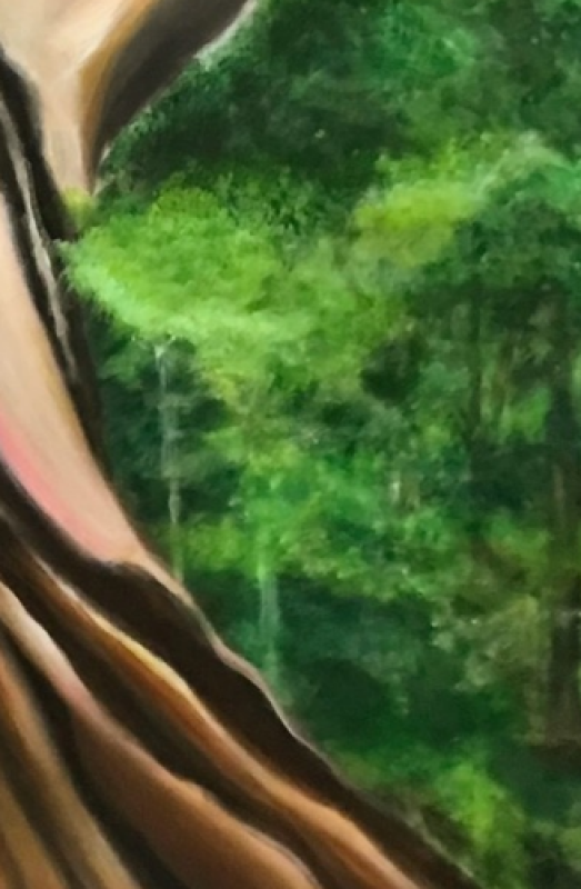 司馬庫斯巨木媽媽 Ⅱ
Yaya Quparung Ⅱ 3