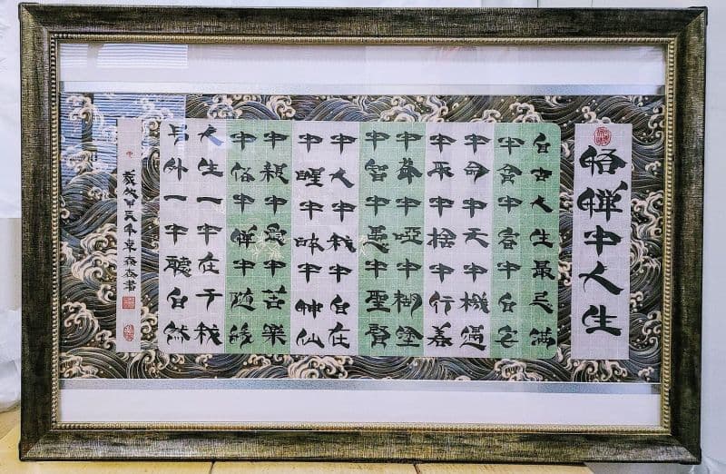 悟憚半人生:鬃鬚書法書寫珍藏雅赏優作