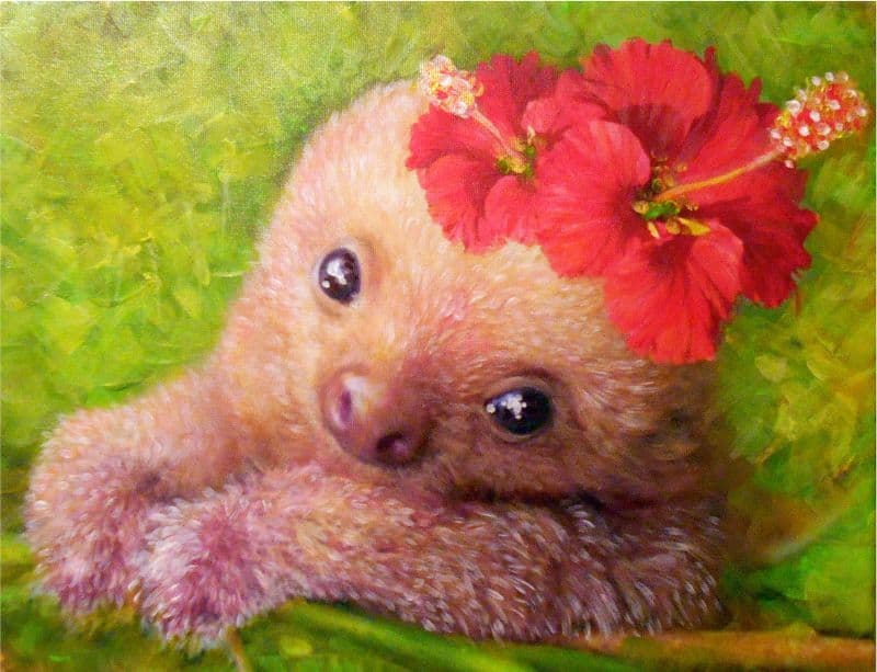 樹懶系列-1.在看我嗎.可以靠近點 2