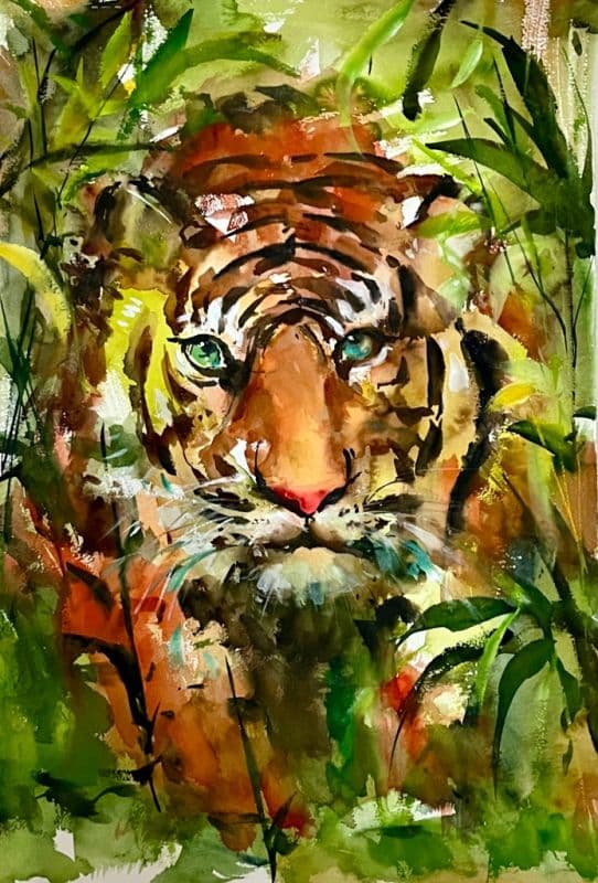 來自叢林的王者