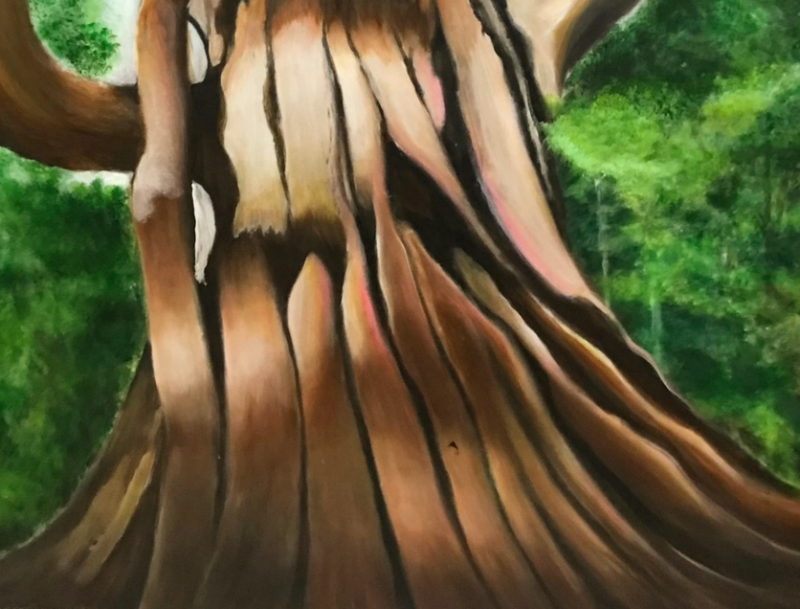 司馬庫斯巨木媽媽 Ⅱ
Yaya Quparung Ⅱ 2