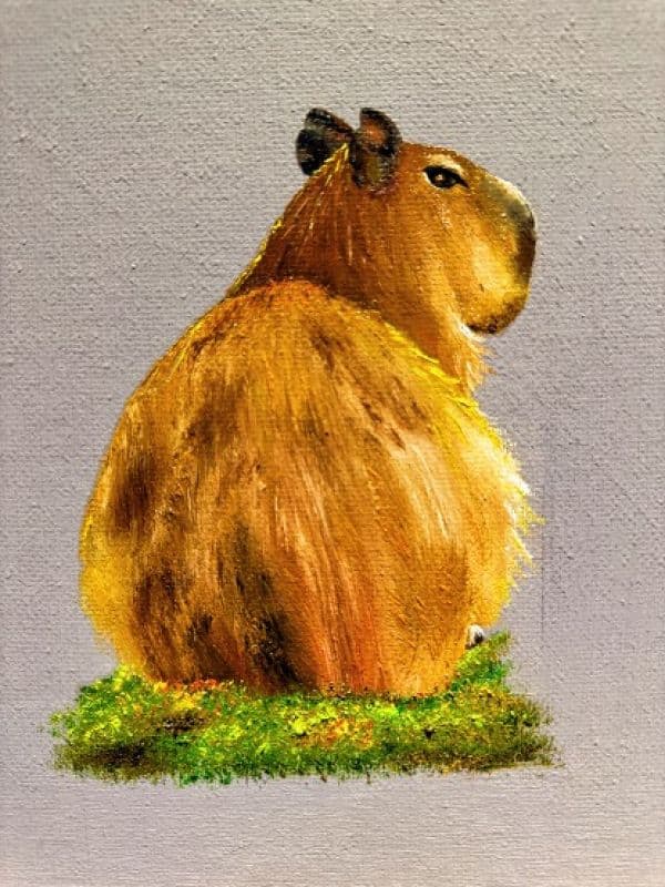 嗨!慢一點Baby Capybara - 人生就是,急也沒用 2