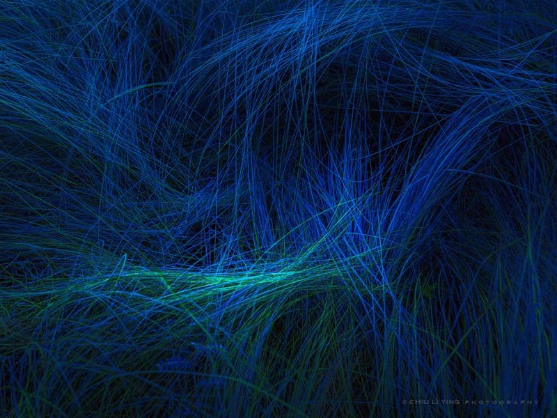 草間靡生,魔幻戲#01