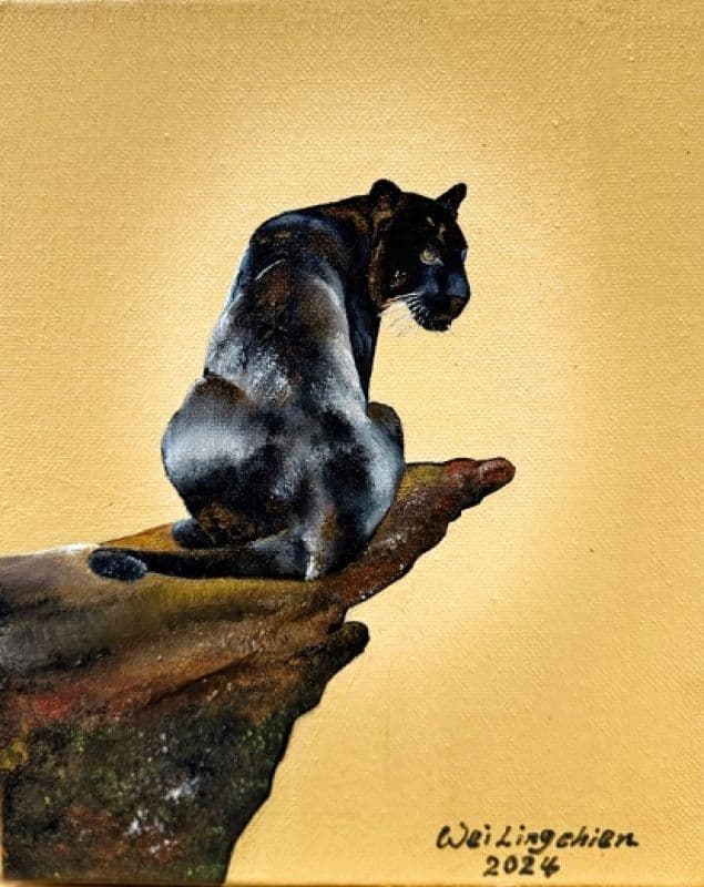 嗨!慢一點Black Panther - 如果少了運氣,那就多點勇氣吧! 1