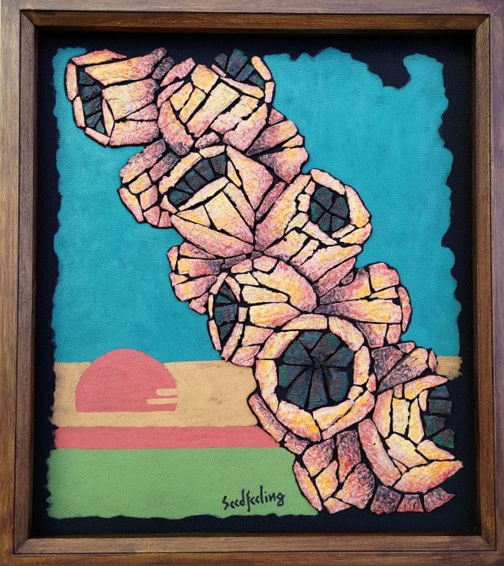 海邊硬漢~白千層