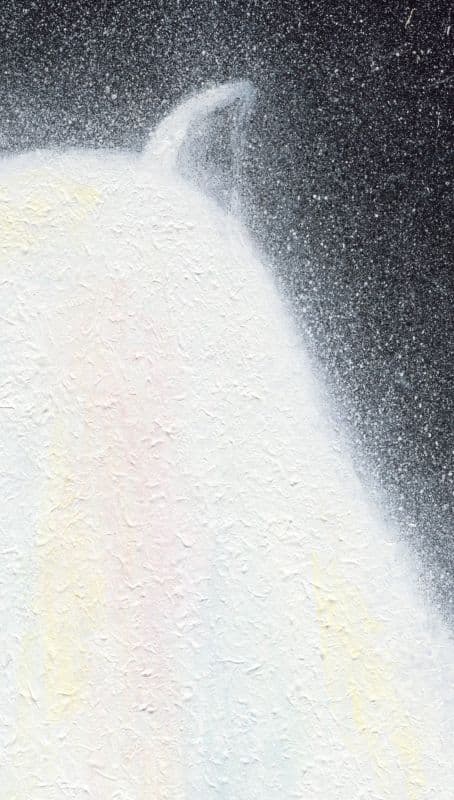 夜空中最亮的星 2