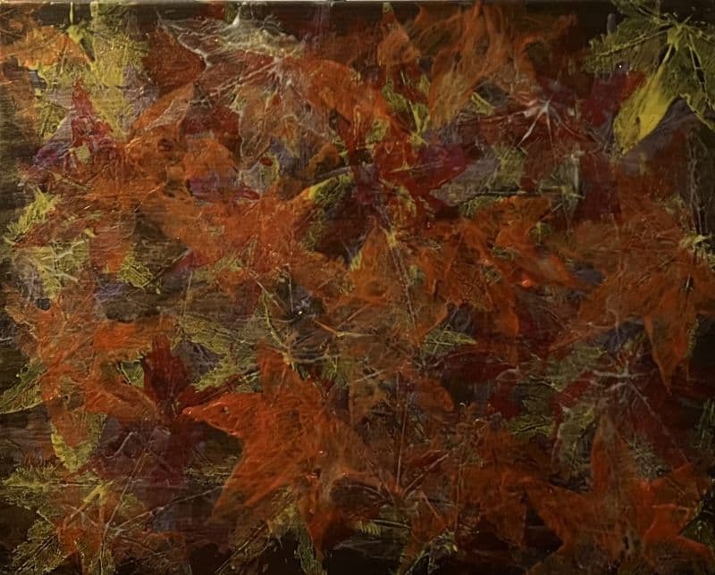 秋光中的楓葉迴響  Maple Echoes in Autumn Glow