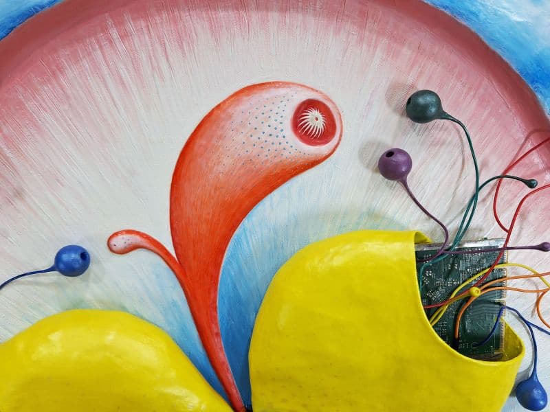 Difflora N°2307-C 7