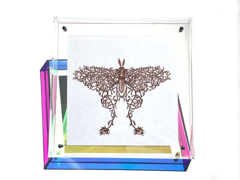 夢境圖鑑-Secret Garden