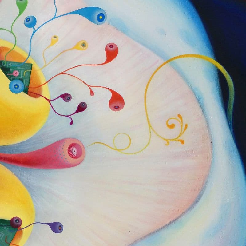 Difflora N°230612 4