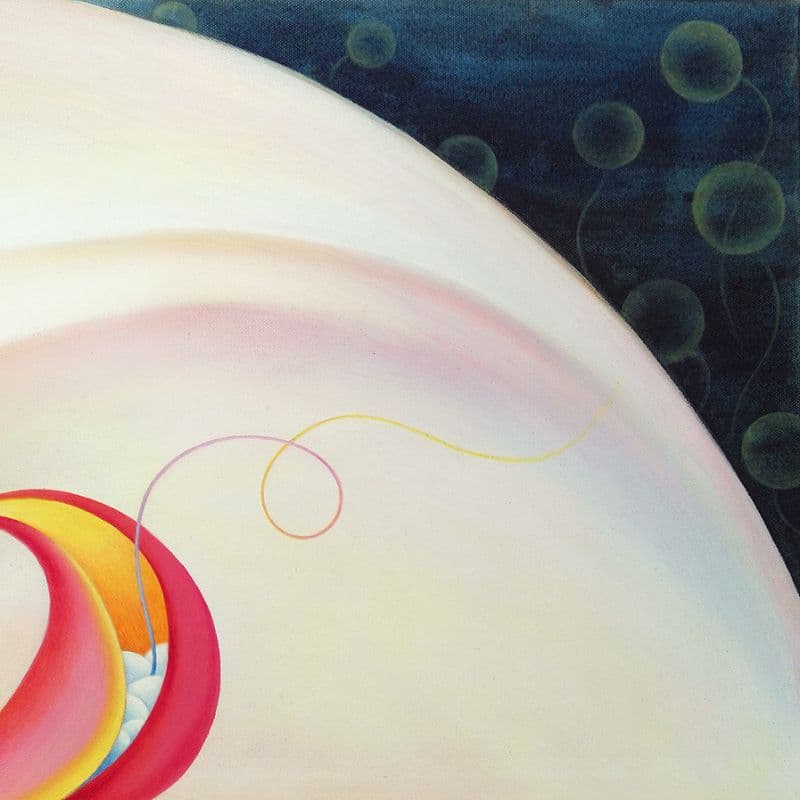 Difflora N°230831 5