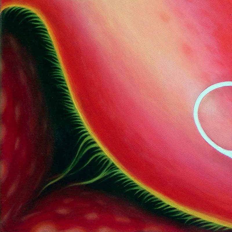 Difflora N°230415 2