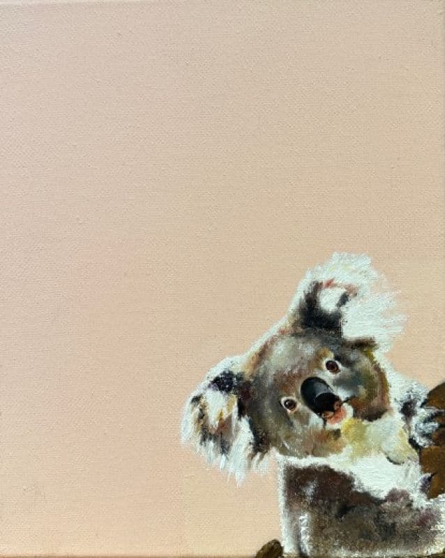 嗨!慢一點Baby Koala - 凡事全力以赴,包括開心 1