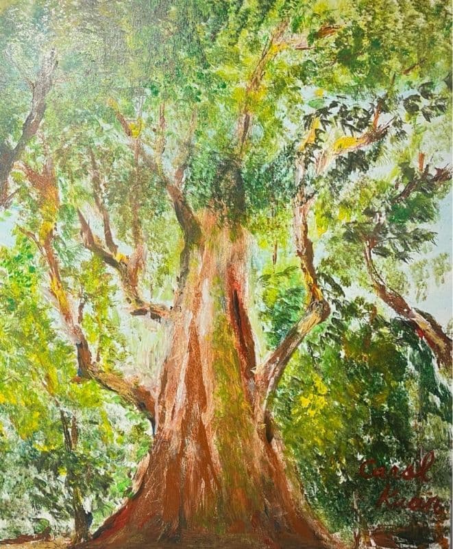 司馬庫斯巨木媽媽 Ⅰ
Yaya Quparung Ⅰ