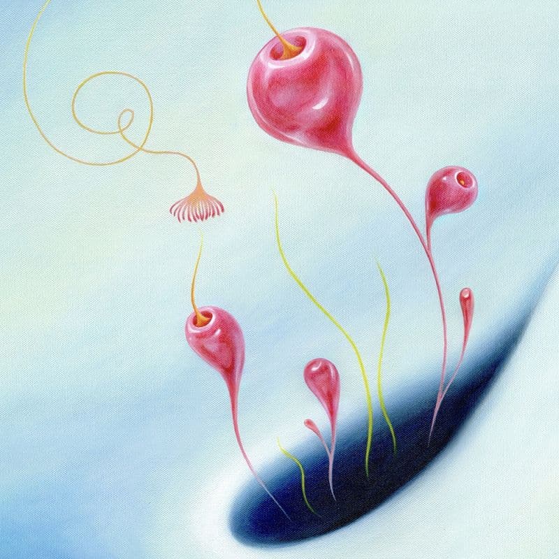 Difflora N°230727 4