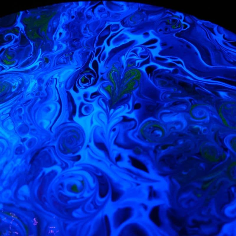 海洋中的料理秀 6