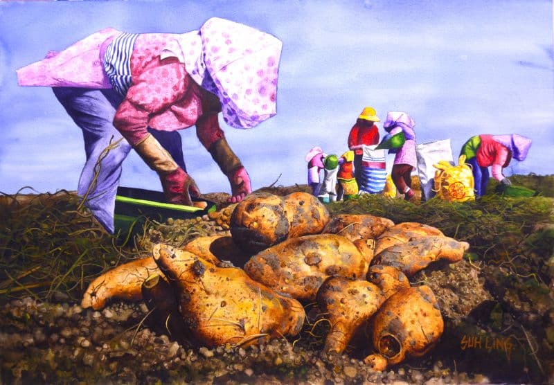 面朝黃土背朝天