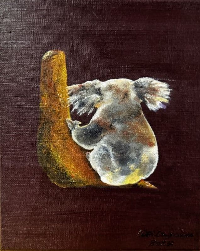 嗨!慢一點 Baby Koal - 平靜的過每一天,就是最完美的日子 1