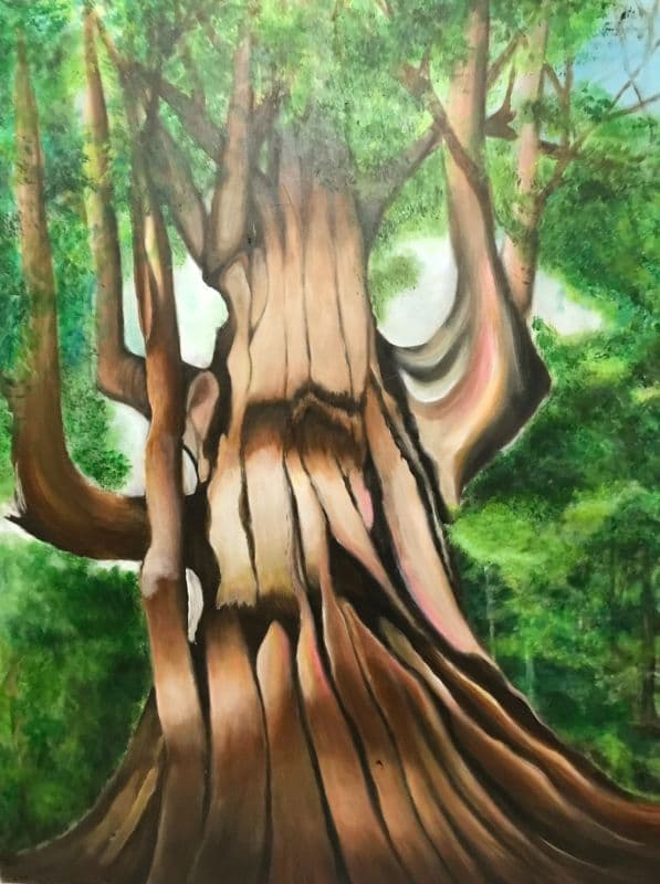 司馬庫斯巨木媽媽 Ⅱ
Yaya Quparung Ⅱ