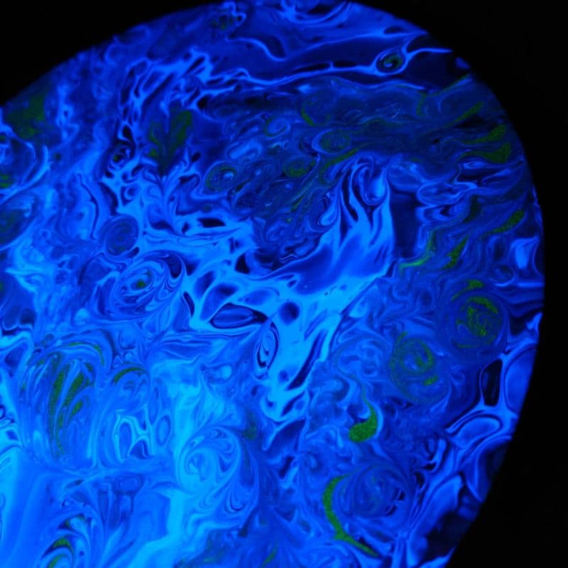 海洋中的料理秀 7