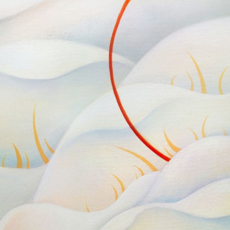 Difflora N°230515 6