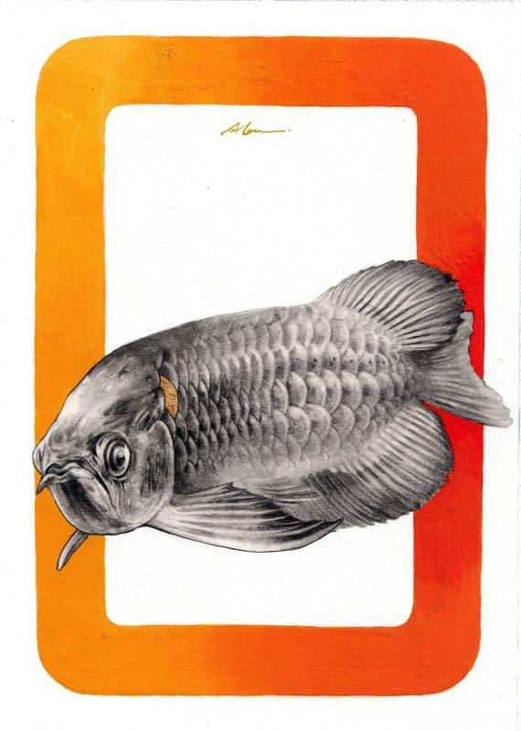 舒適圈 Comfort Zone