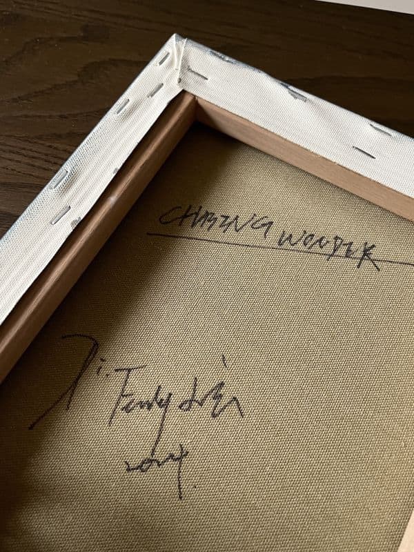 前行 Chasing Wonder 3