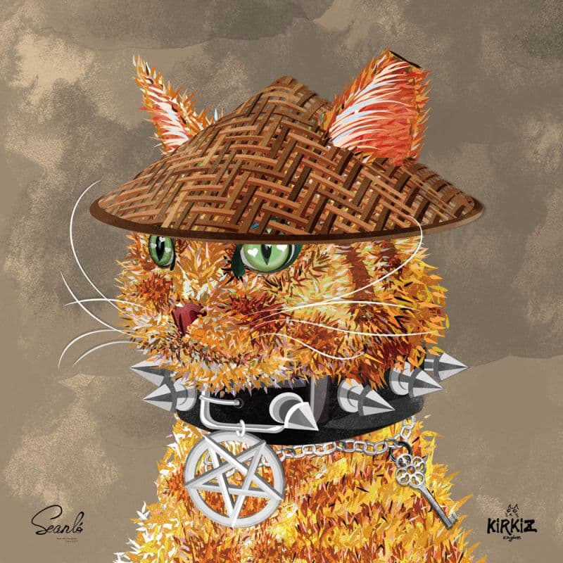 『虎蹤貓跡』徵貓貓拳陪練,最好是小姊姊