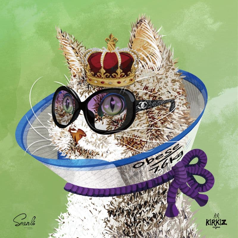 『虎蹤貓跡』人家不要回診!不要~~