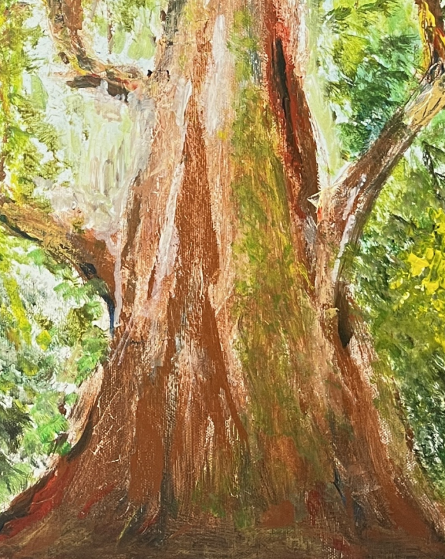 司馬庫斯巨木媽媽 Ⅰ
Yaya Quparung Ⅰ 3