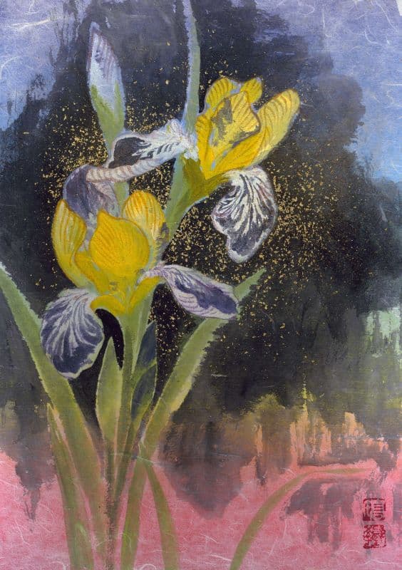 拾花釀春系列-德國鳶尾羅蕾萊(Iris 'Loreley')2