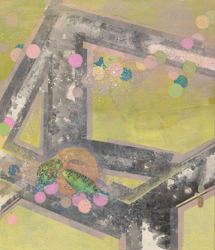 聚-虎皮鸚鵡•方程市-3