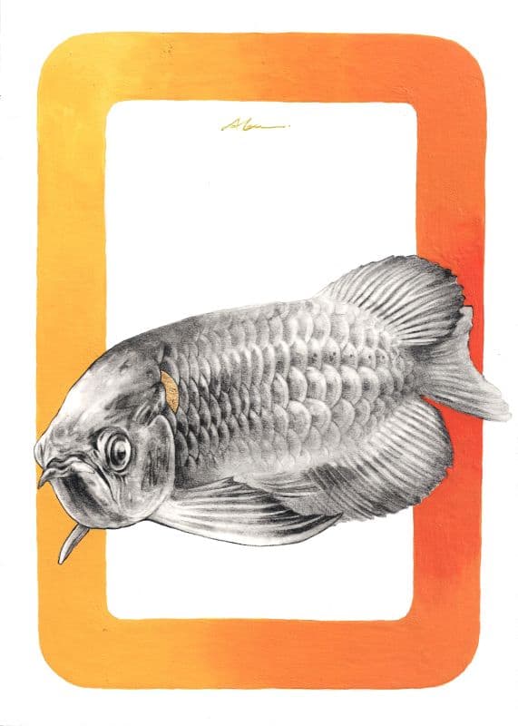 舒適圈 Comfort Zone