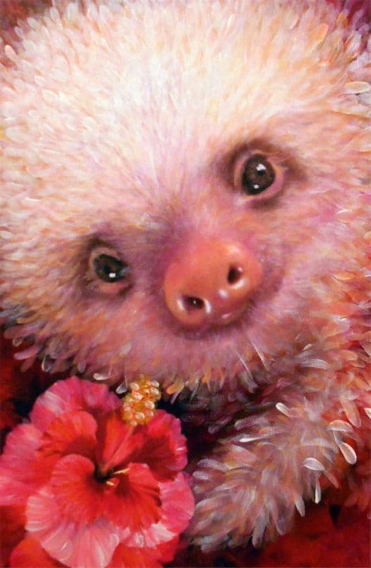 樹懶系列-2.送花追求記 2