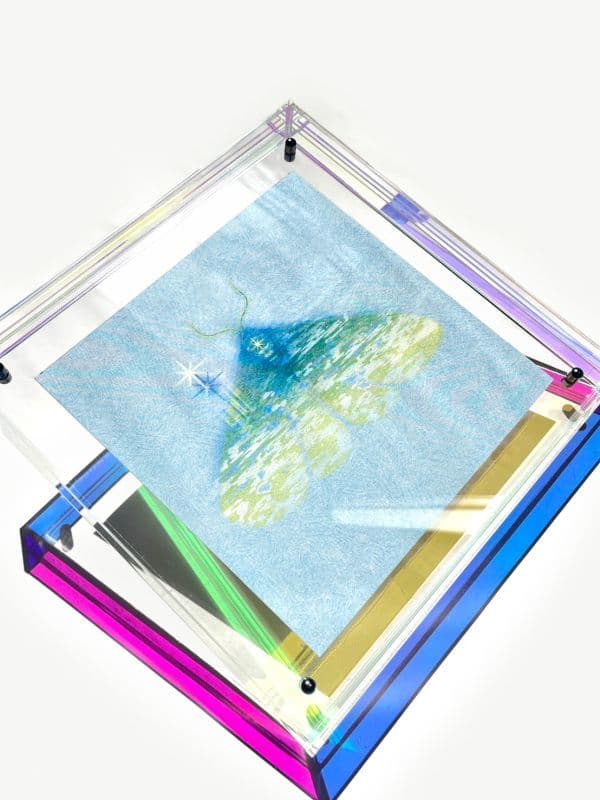 夢境圖鑑-Divining into Starlight