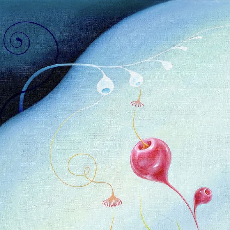 Difflora N°230727 2